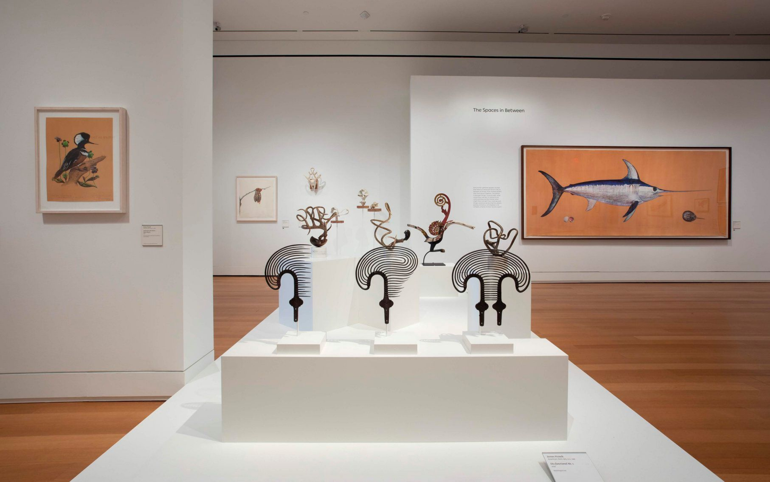 Yale Art Gallery exhibit celebrates lasting value of caricature