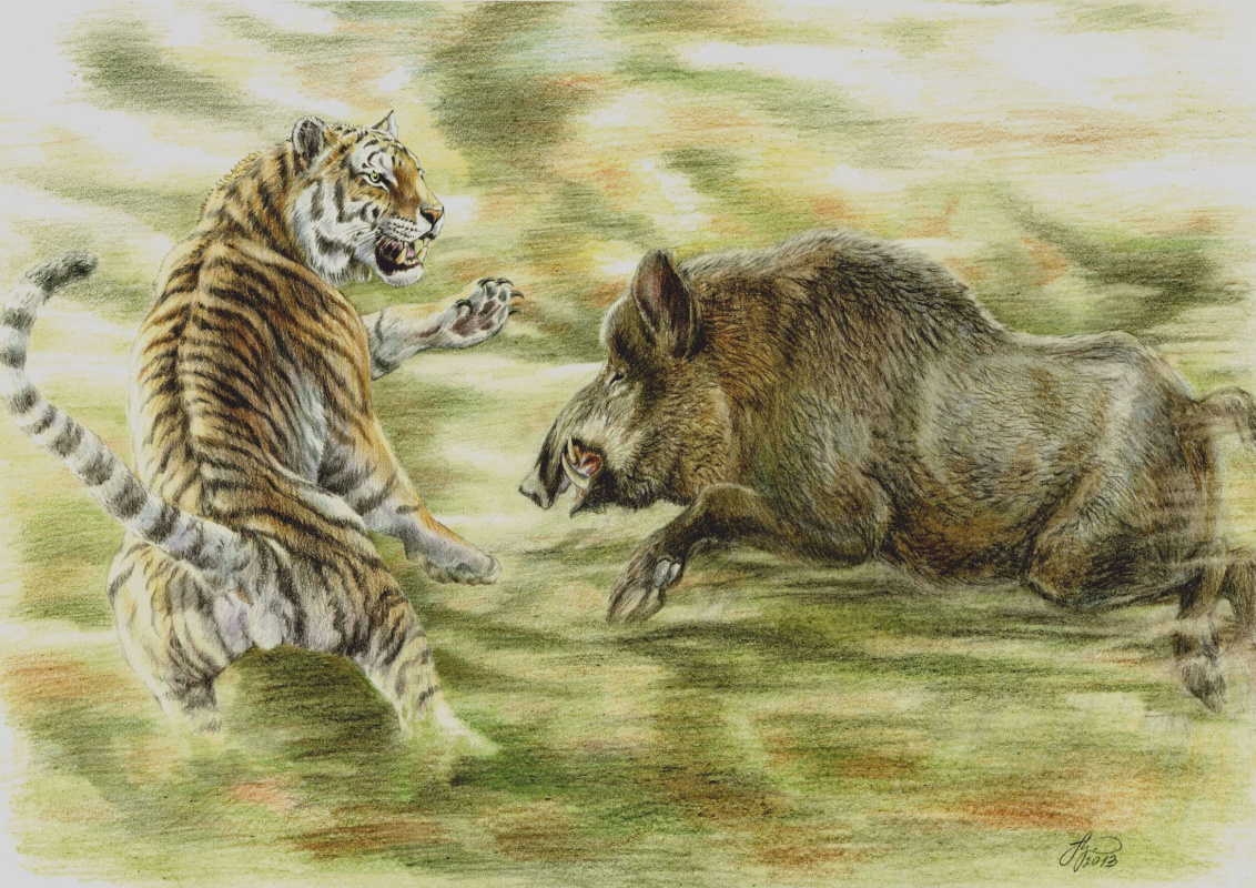 Anton Valerievich Shkurko. "The Tiger and the Boar."