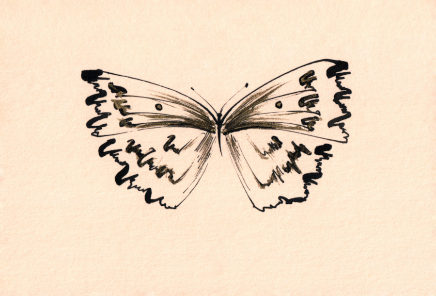Lyubov Fonareva. Butterfly
