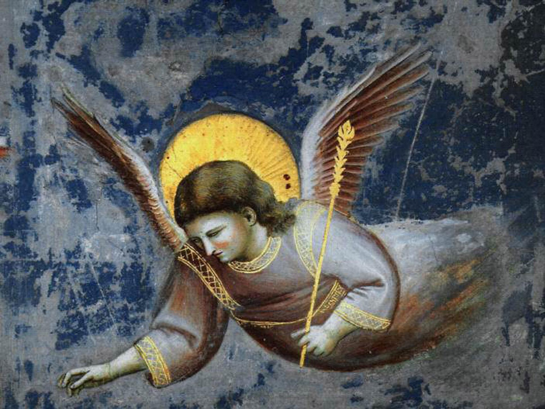 Джотто художник картины ангелы