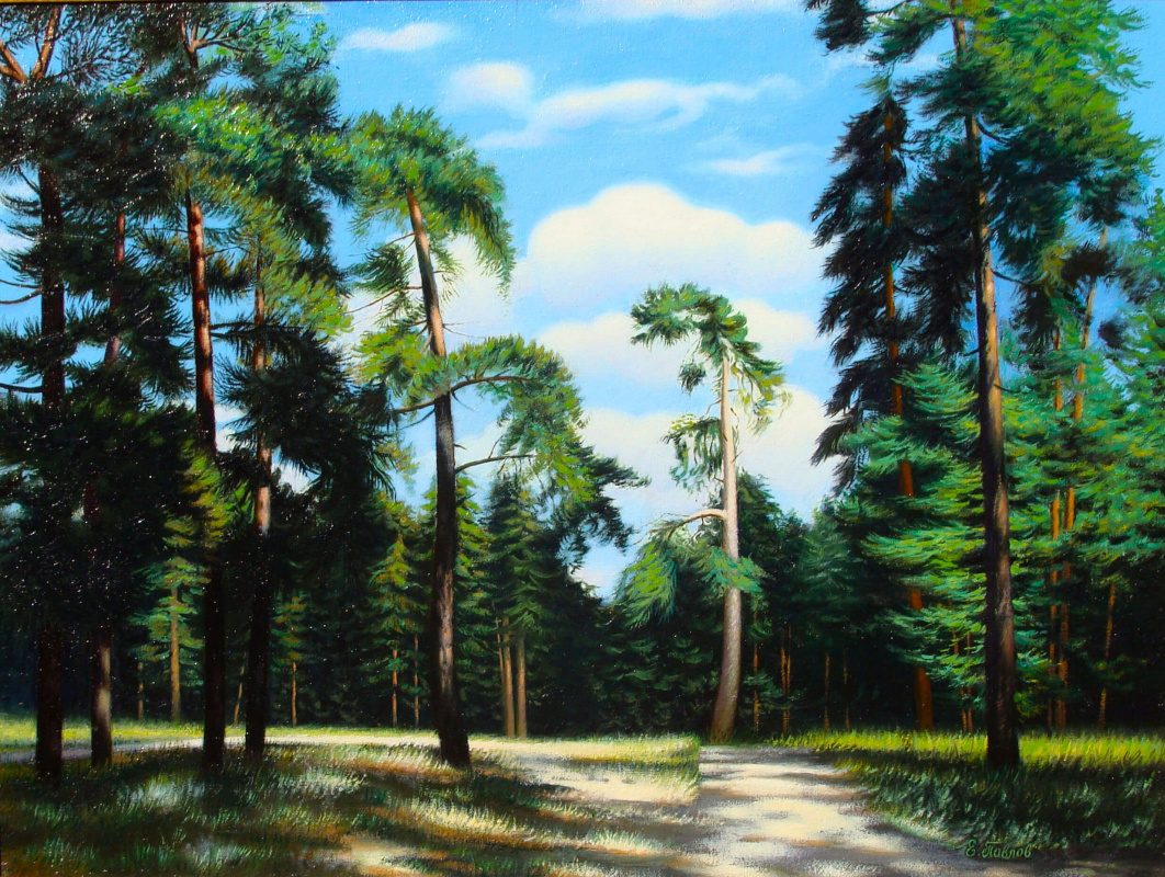 Evgeny Yakovlevich Pavlov. Pine forest