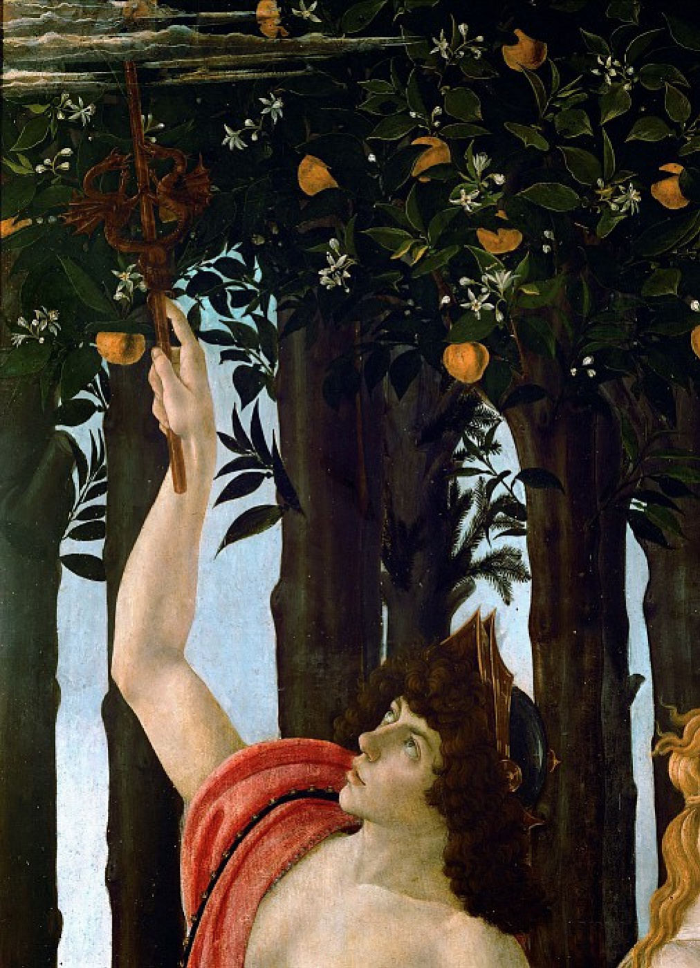 Sandro Botticelli La Primavera (Primavera). Detalle: el mercurio aumenta la  nube, 1482: Descripción de la obra | Arthive