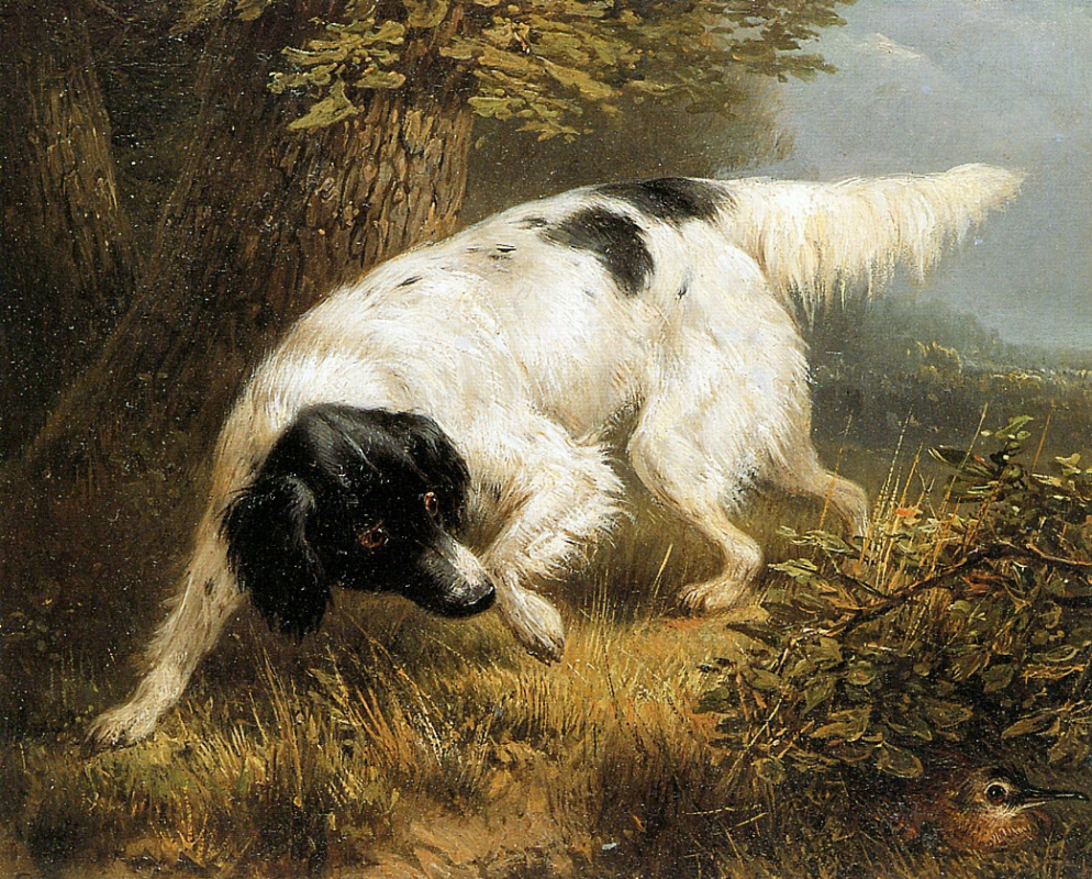 Henrietta Ronner Knip. The stabyhoun is looking for a woodcock