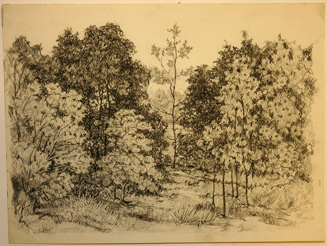 Semen Ivanovich Aferov. Forest
