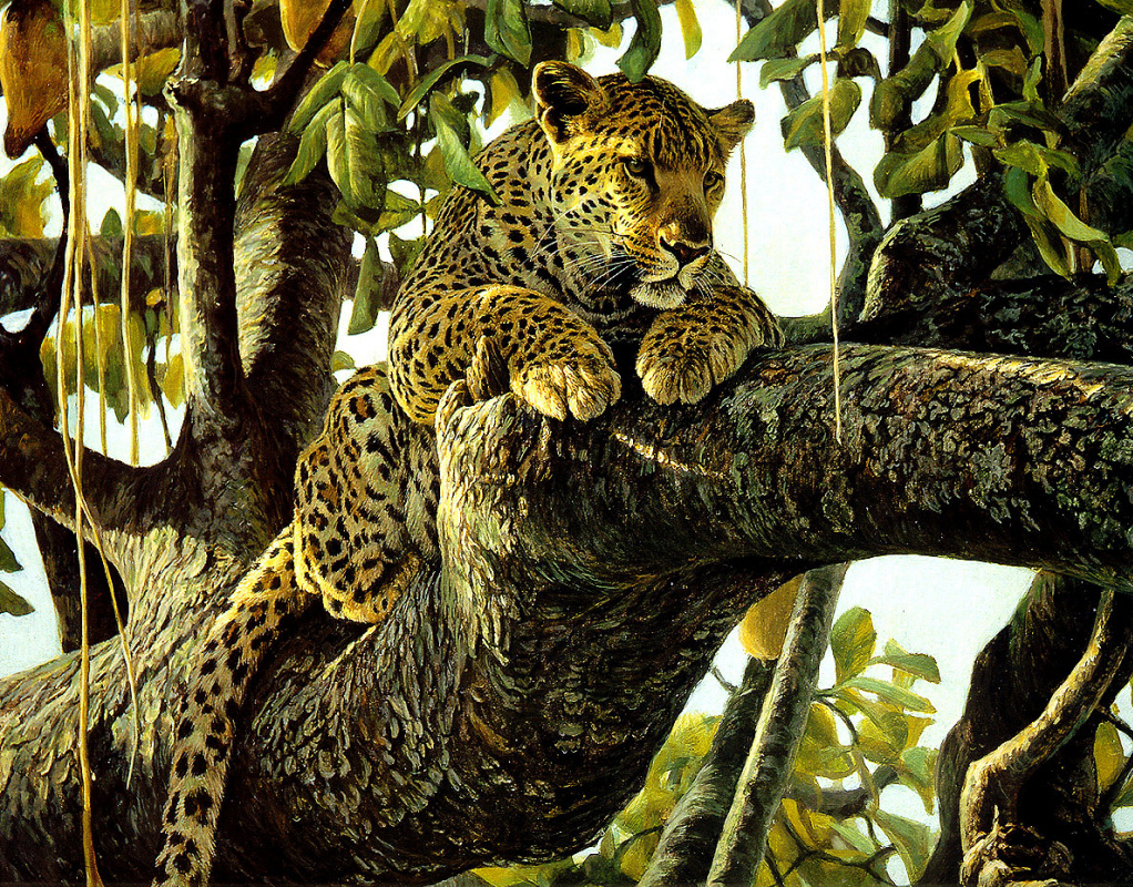 Леопард картина