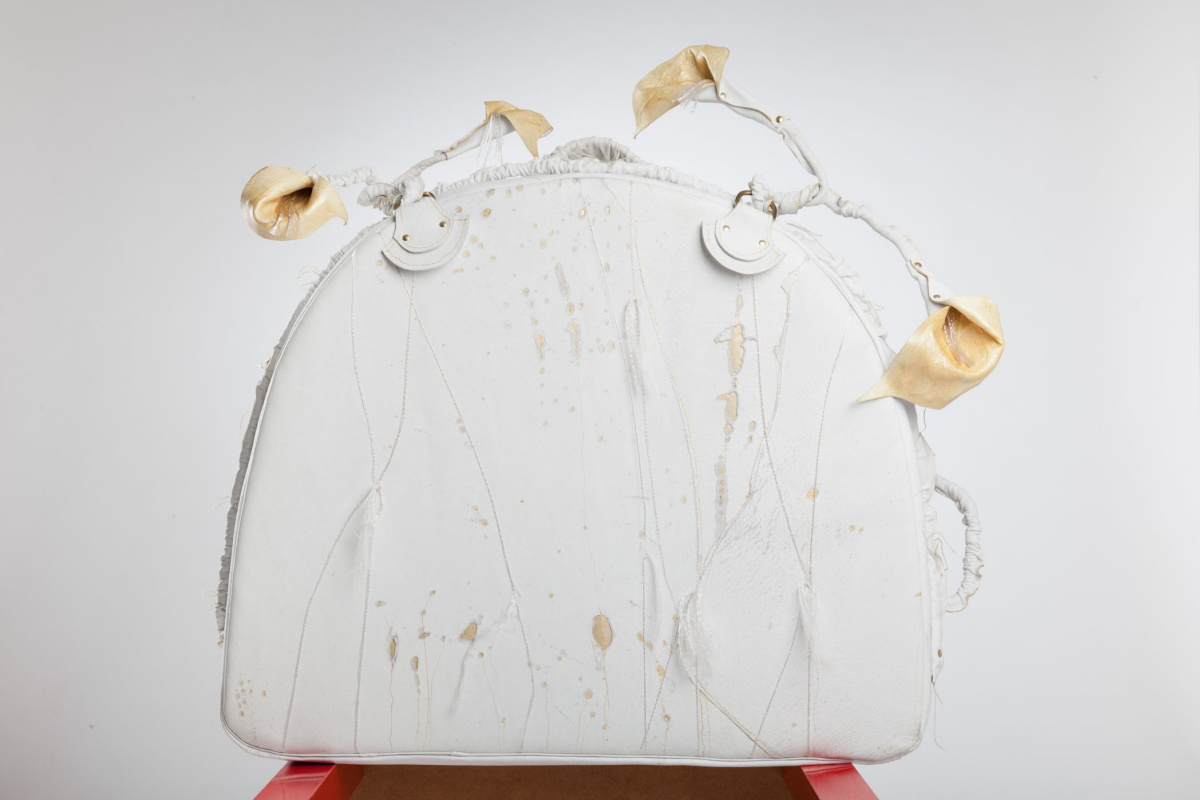 Irina Diomina. Suitcase