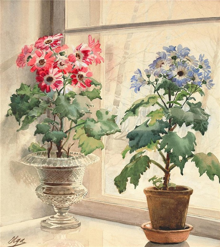 Olga Alexandrovna Romanova. Plot 8