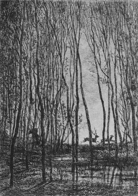 Charles-Francois Daubigny. Deer in the woods