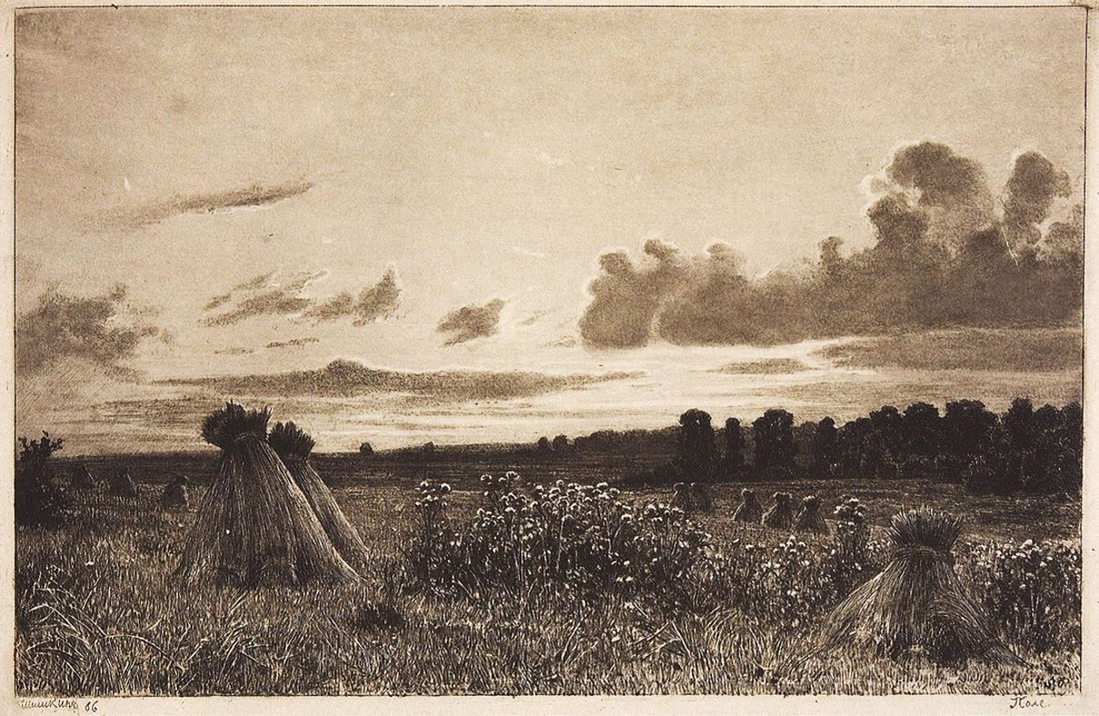 Шишкин поле 1886
