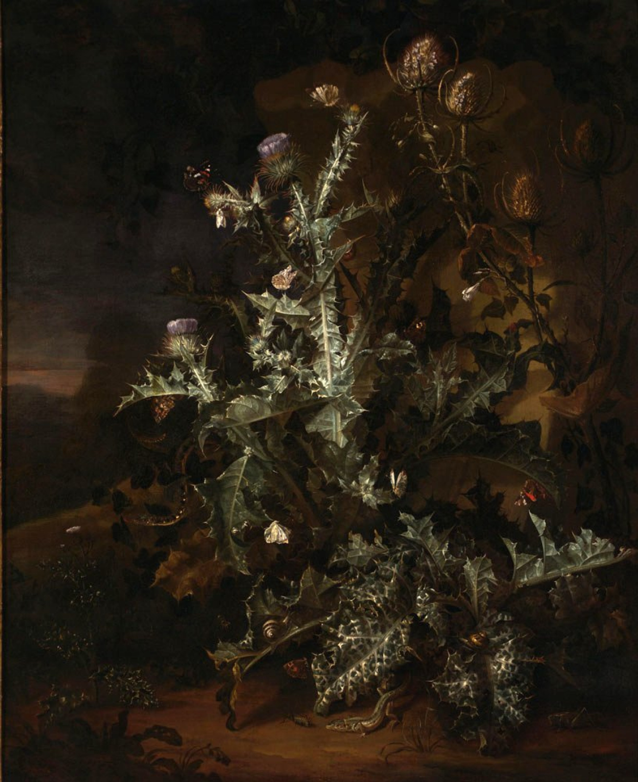 Still Life With Thistle 1670 101 125 Cm By Otto Marceus Van Scriec History Analysis Facts Arthive