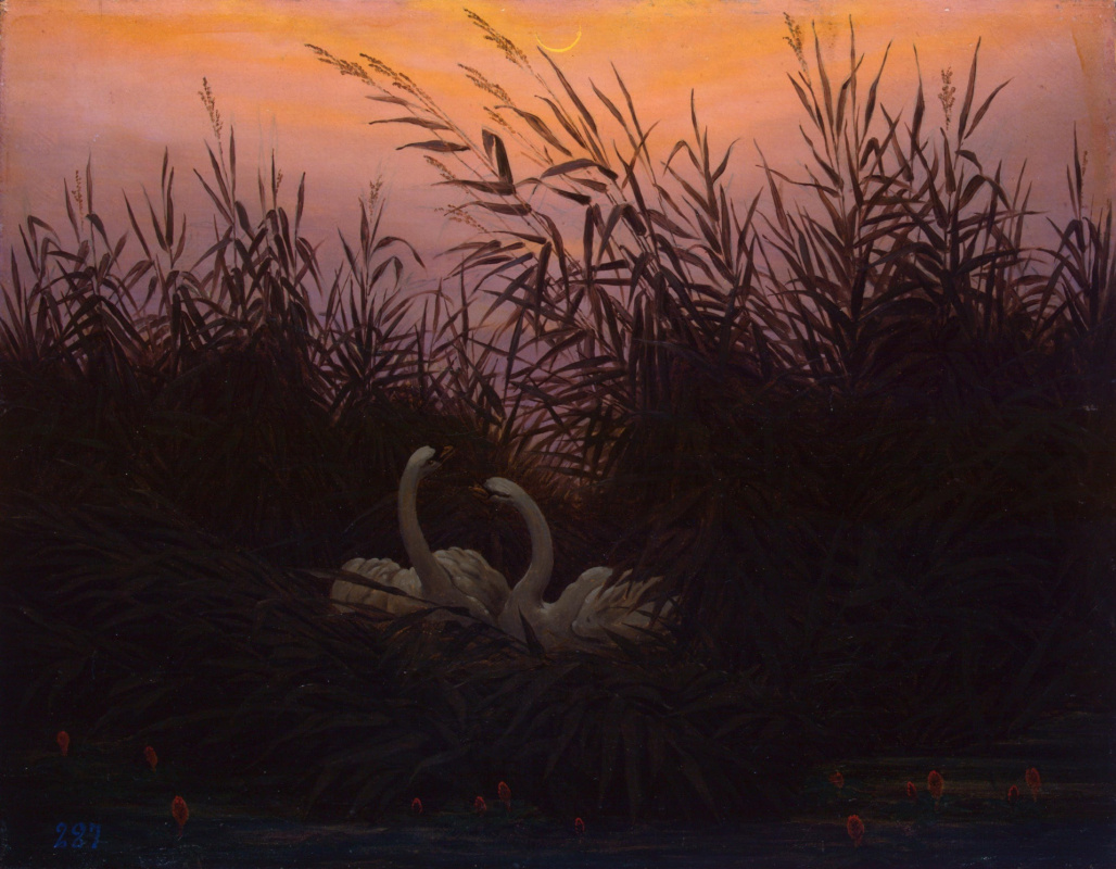 Caspar David Friedrich. Swans in the reeds