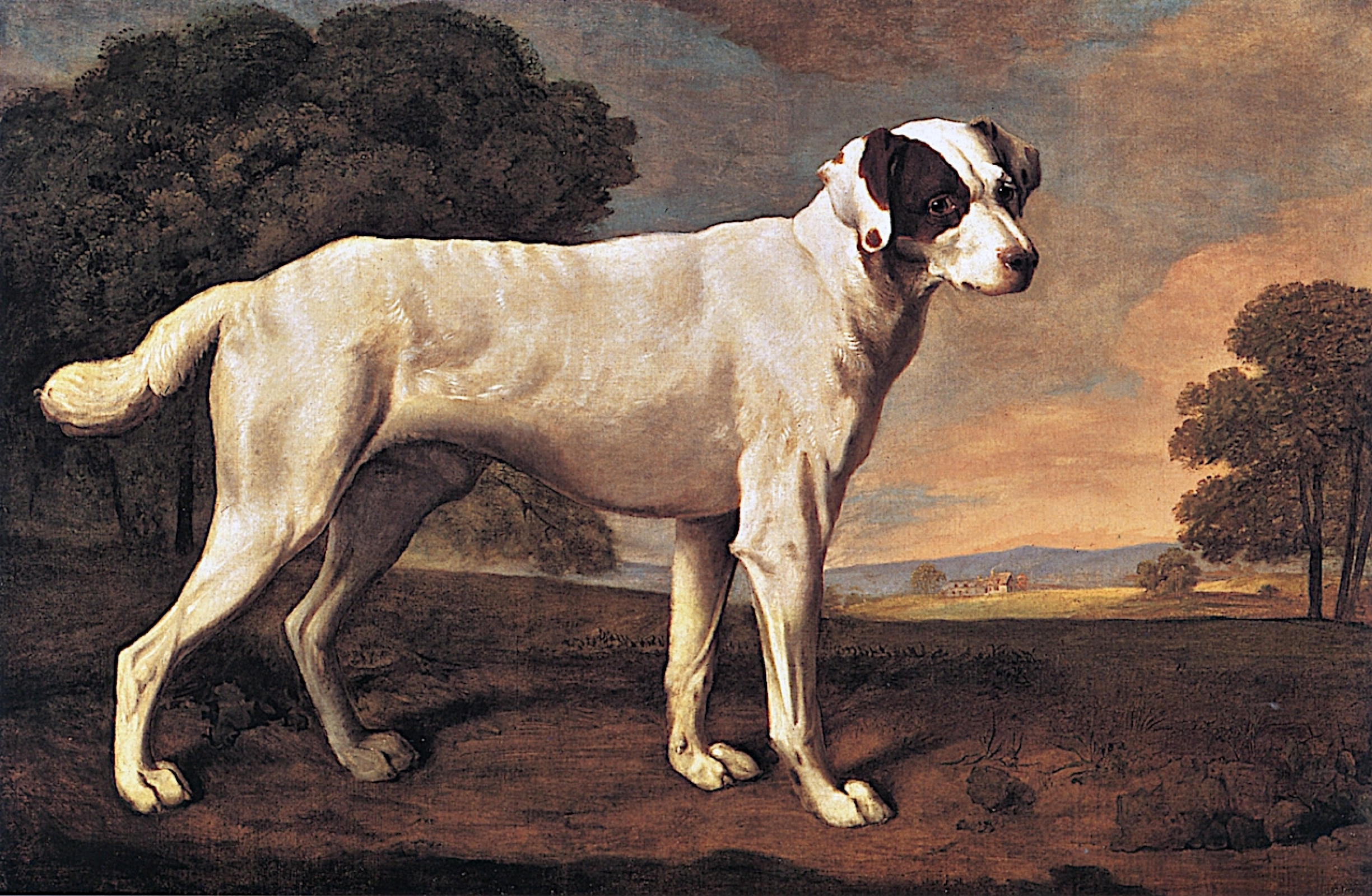 George stubbs dog store paintings