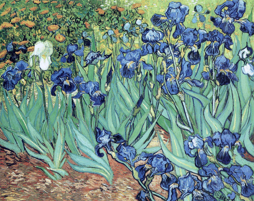 Vincent van Gogh. Irises