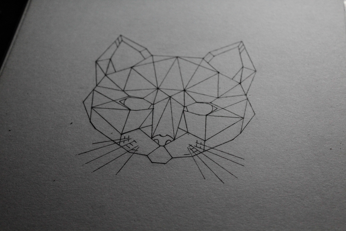 A sketch for a tattoo. Cat