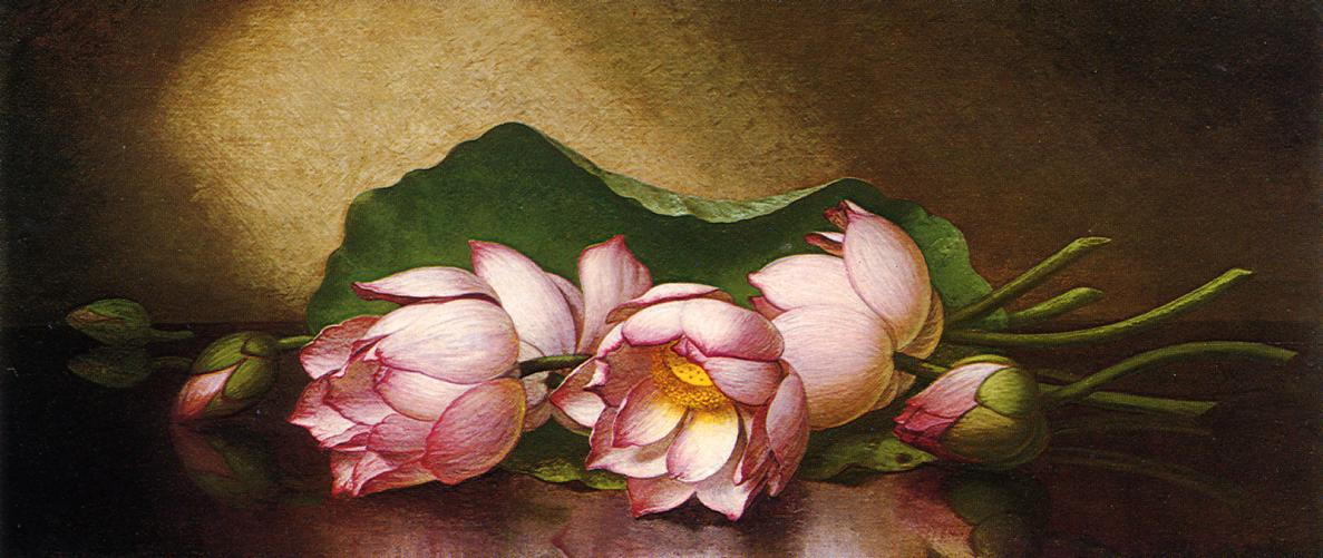 Martin Johnson Head. Still-life with flowers of Egyptian lotus on the table
