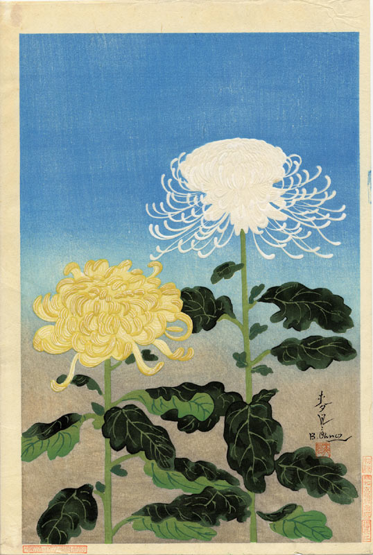 Baku Ono. Chrysanthemum