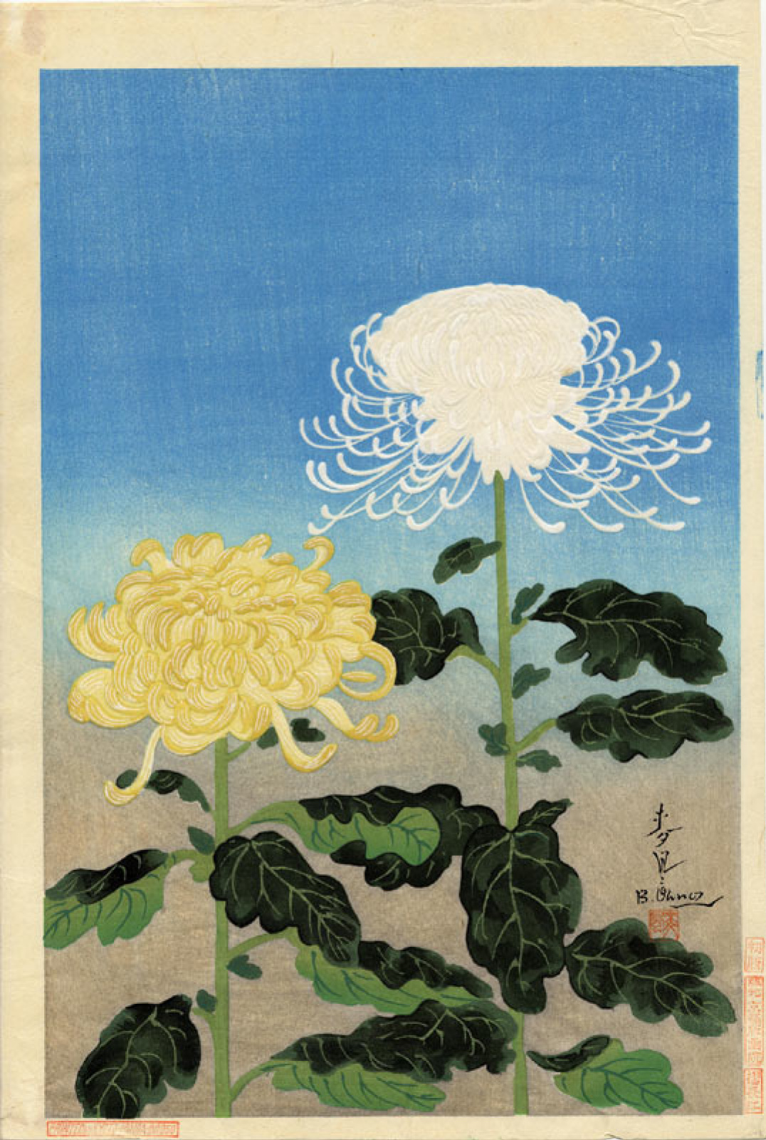 Хризантемы знак. Бакуфу оно хризантемы. Bakufu Ohno 1888-1976. Бакуфу оно художник. Японская Хризантема акварель.