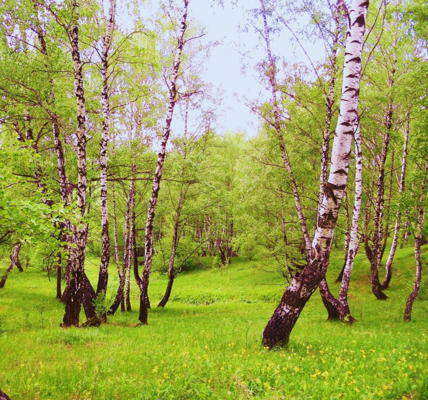 Фото сергея краева