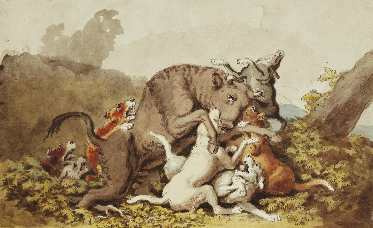 Johann Heinrich Wilhelm Tishbein. Hunting dogs attacking a bull
