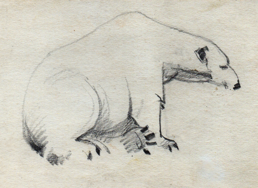 Anatoly Vladimirovich Zadvinsky. White Bear.