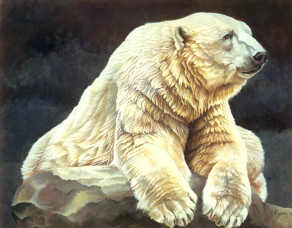 Картина белые медведи