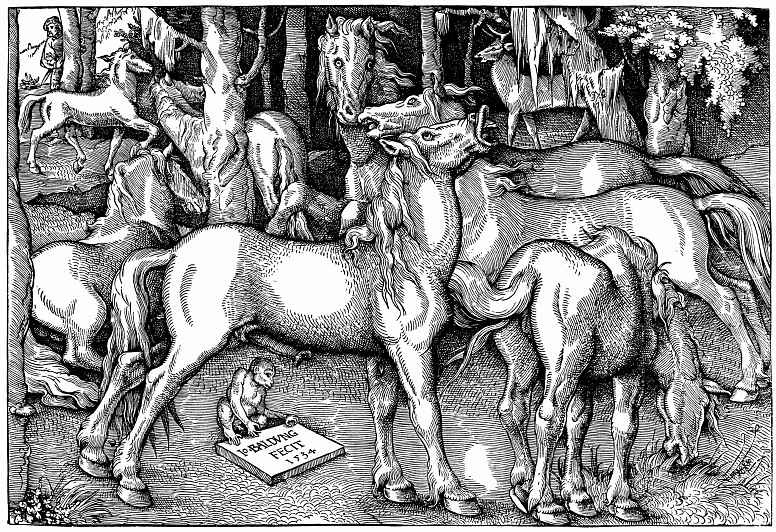Hans Baldung. The stallion and the Mare among the wild horses in the forest