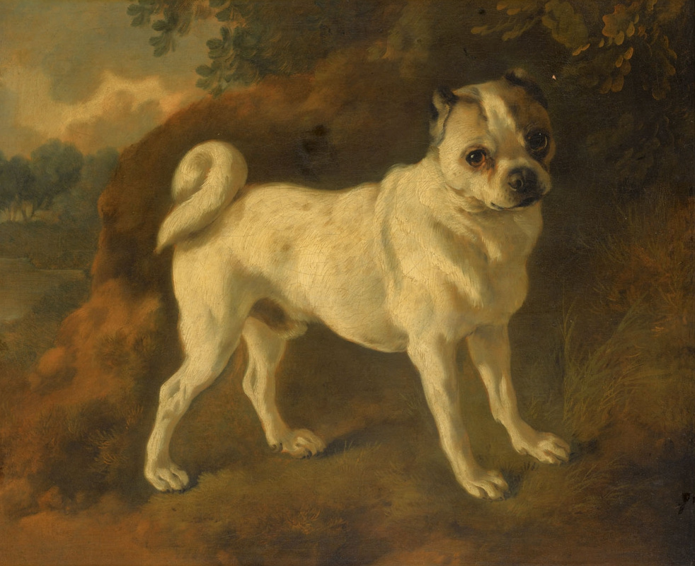 Thomas Gainsborough. Pug