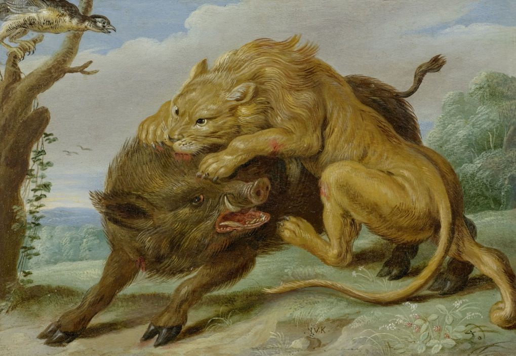 Jan van Kessel Elder. The lion and the boar