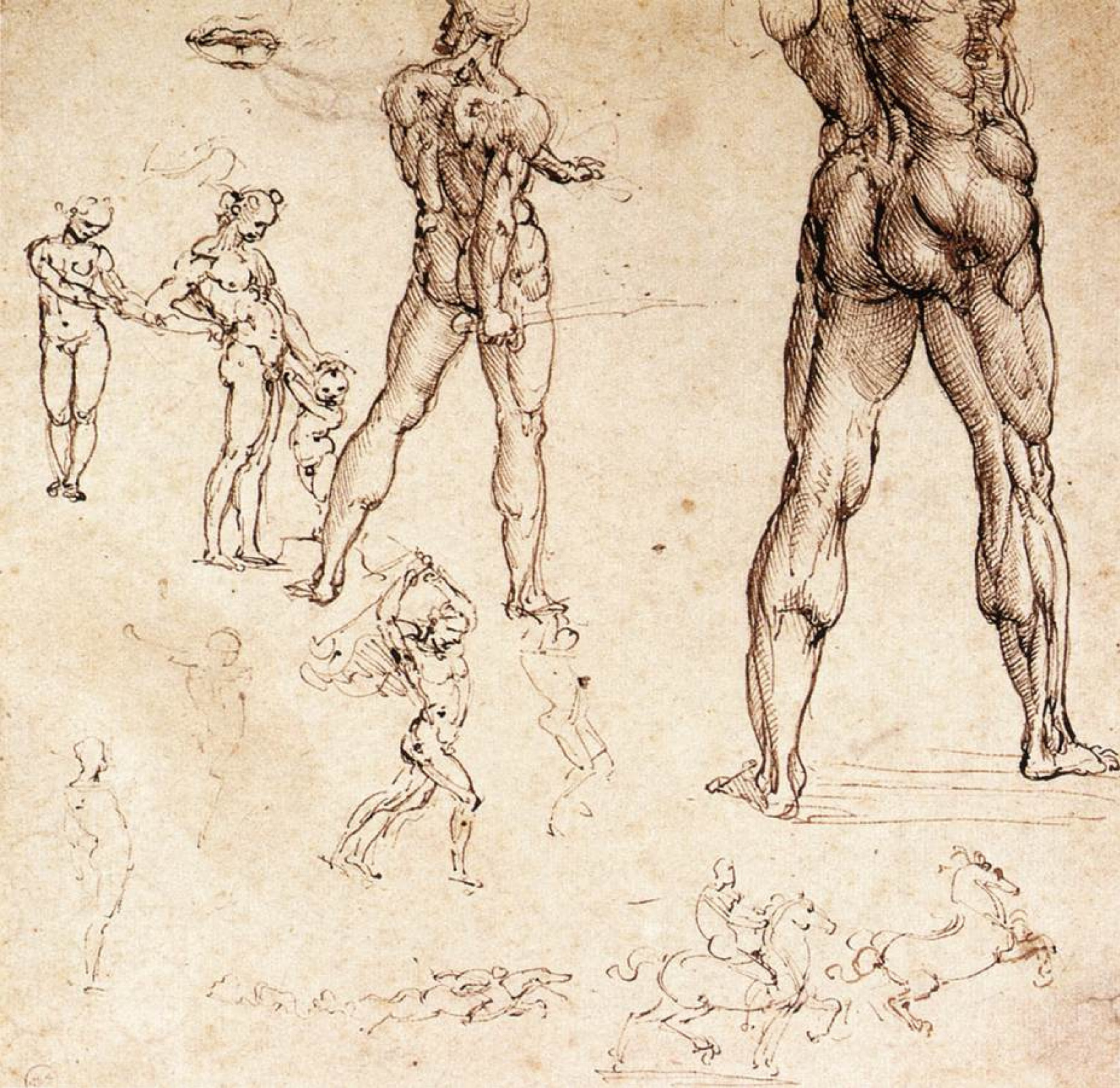 Тело возрождение. Анатомические Наброски Леонардо да Винчи. Зарисовки Леонардо да Винчи анатомия. Набросок человека Леонардо Давинчи. Эпоха Возрождения Давинчи.