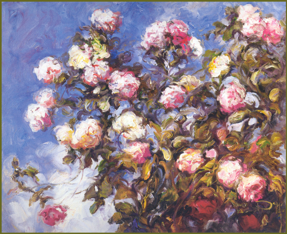 Jose Royo. Pink roses