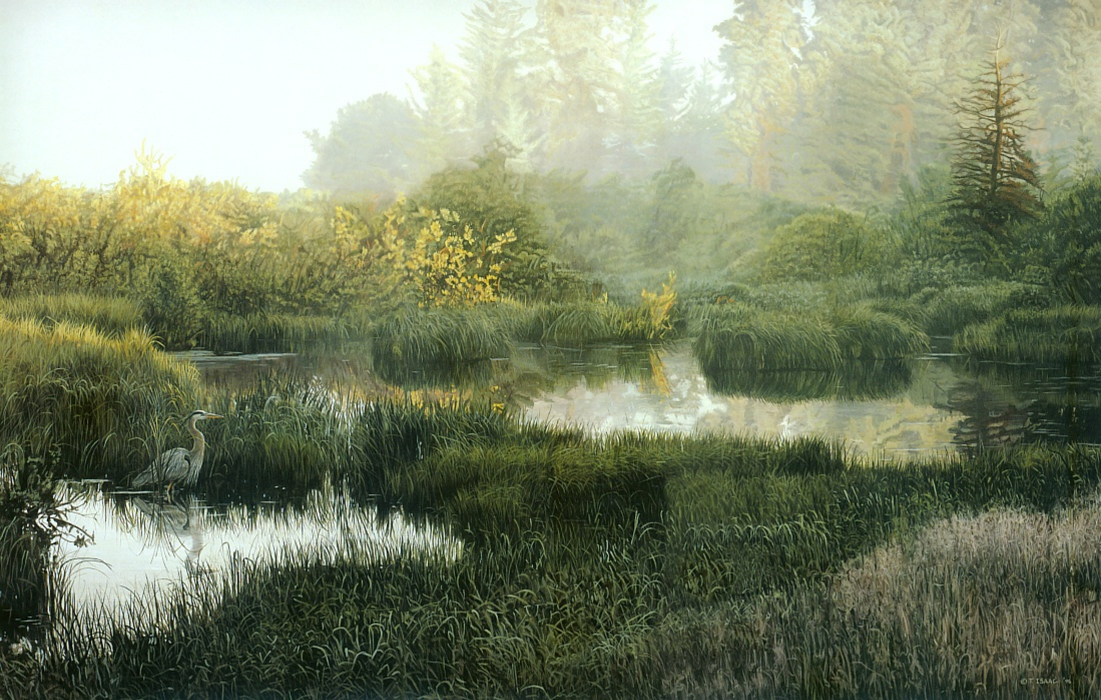 Пейзаж с болотом