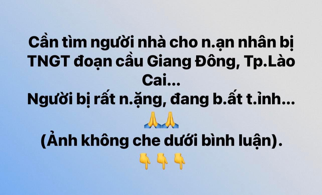 Lê Thế Việt. Newpaper