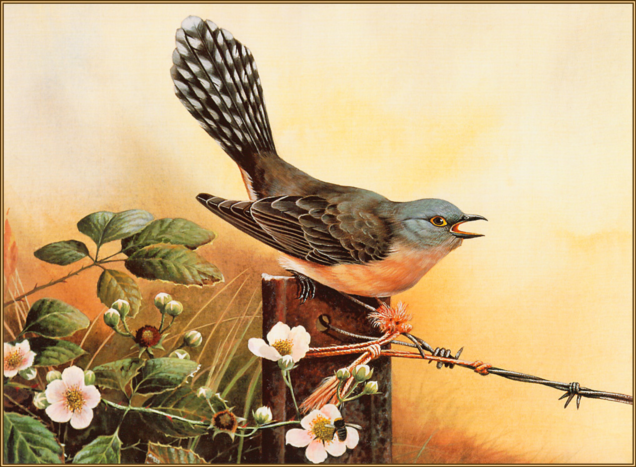 cuckoo painting