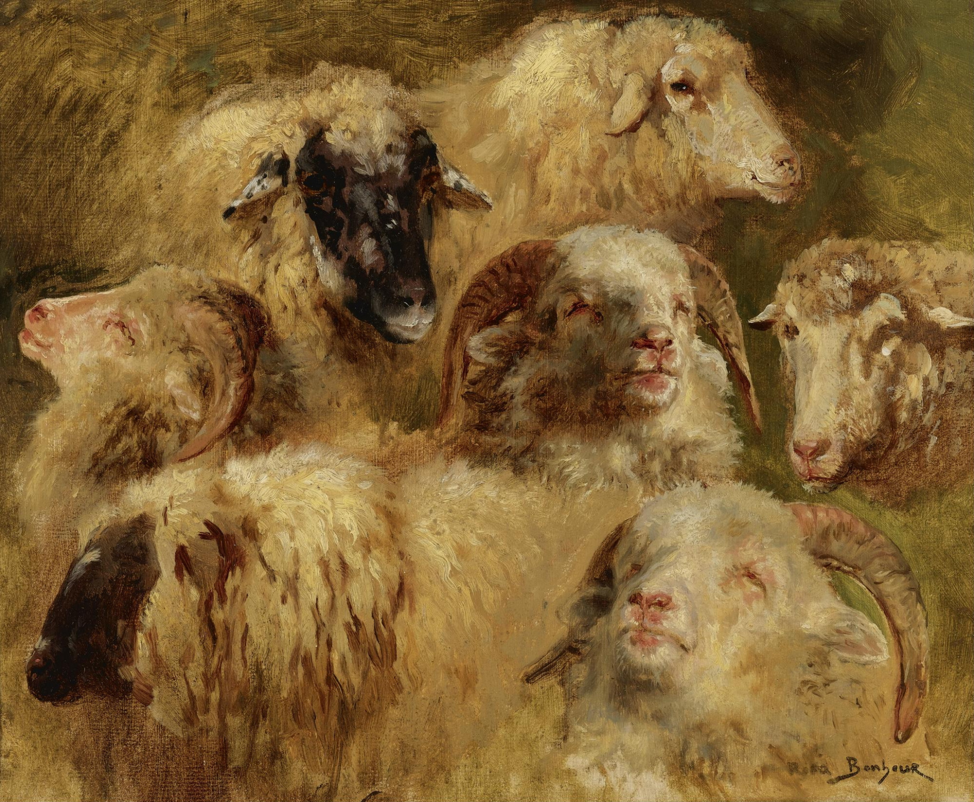 Купить цифровую версию картины: Роза Бонёр - Головы овец и баранов | Артхив