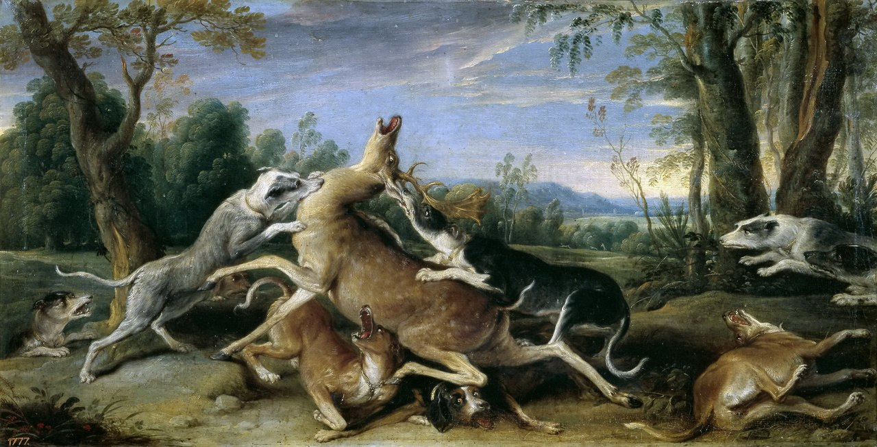 France Snyders. Deer hunting