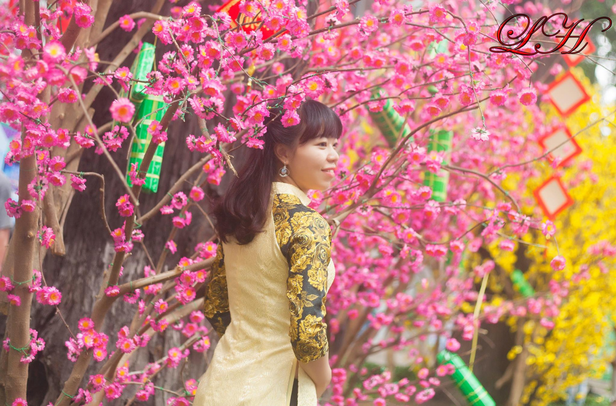 Park Jay. "The girl wearing the traditional Vietnamese Ao Dai is posing next to the cherry blossom branches in full bloom"