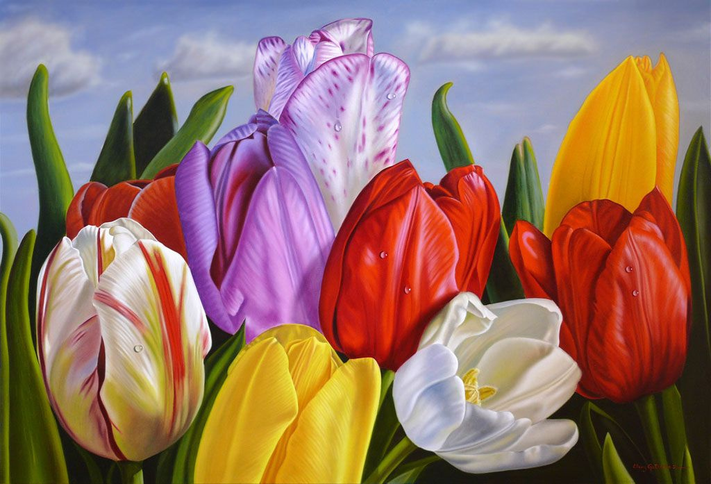 Ellery Gutiérrez. Tulips