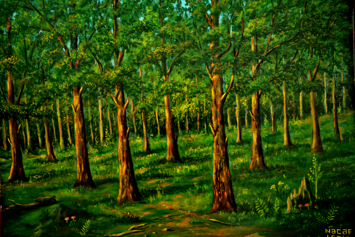 Najaf Mamedali oglu Mamedov. Forest