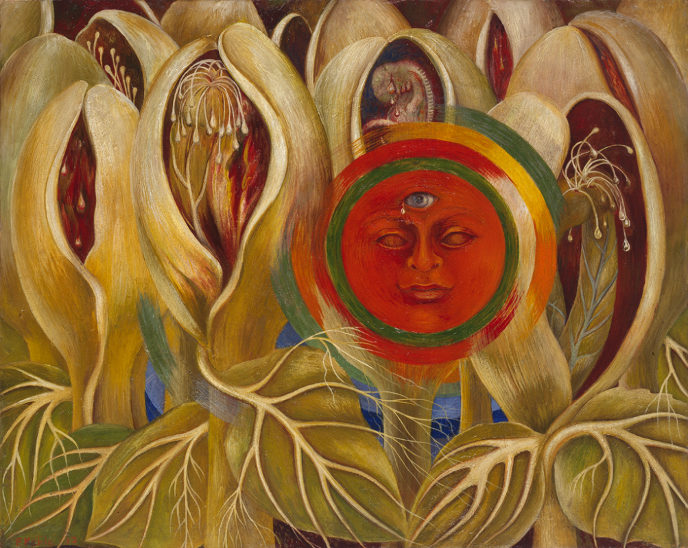 Frida Kahlo. Sun and life