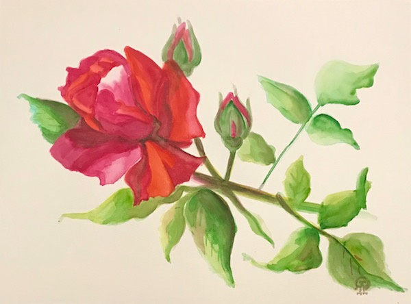 Larissa Lukaneva. Red rose