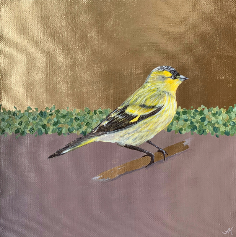Alexandra Kuznetsova. Free siskin