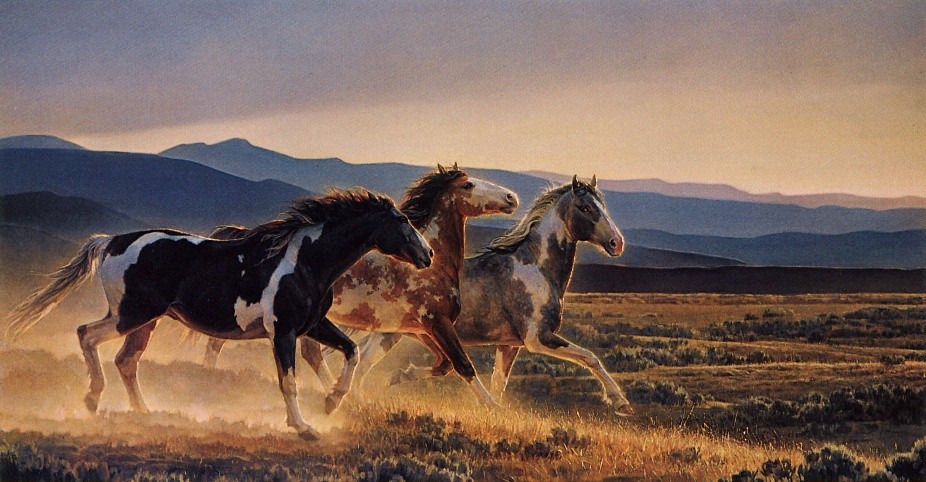 Nancy Glaser. Three horses