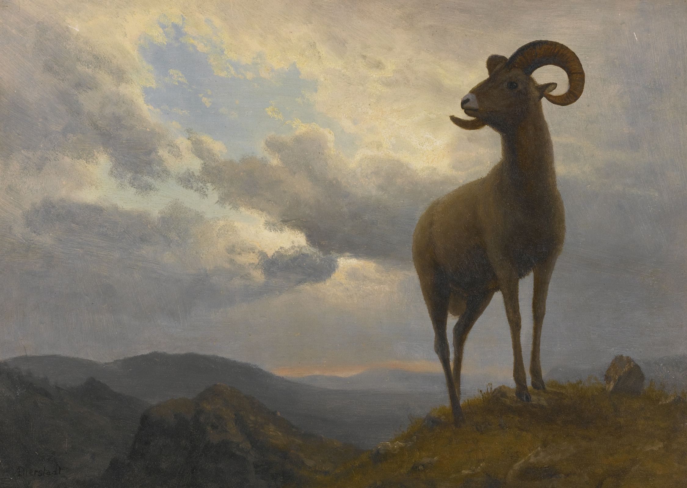 Albert Bierstadt – Bighorn Sheep