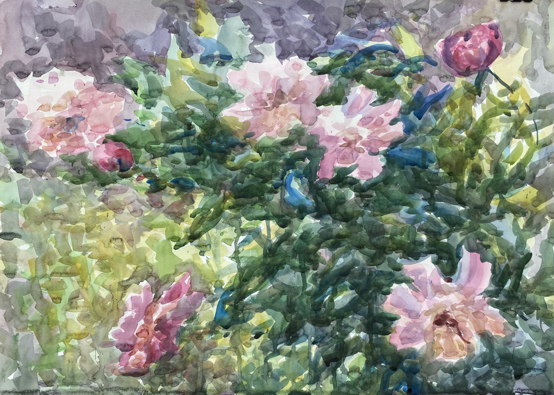 Elena Yurievna Zueva. Peony bush