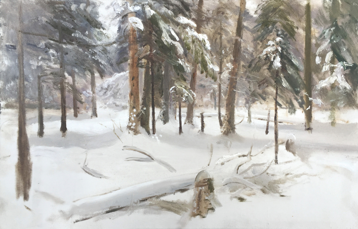 Igor Vladimirovich Mashin. In a winter's tale