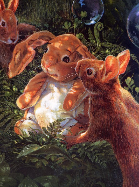 Donna Green. Rabbits
