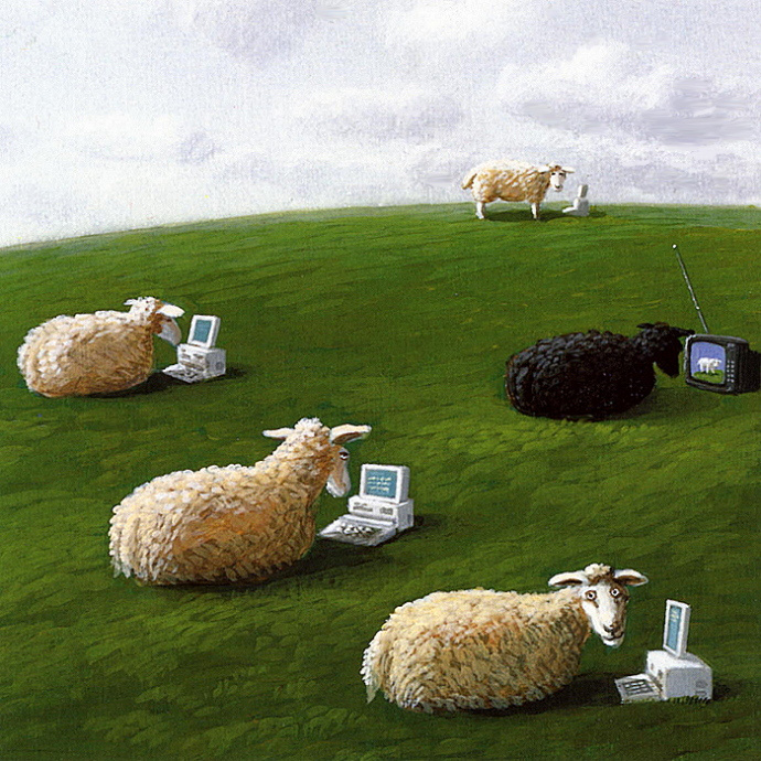 Михаэль Сова. Овцы с ноутбуками