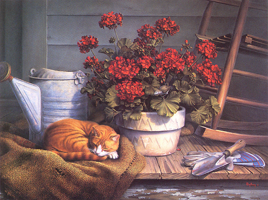Windberg Dahlhart. Red cat