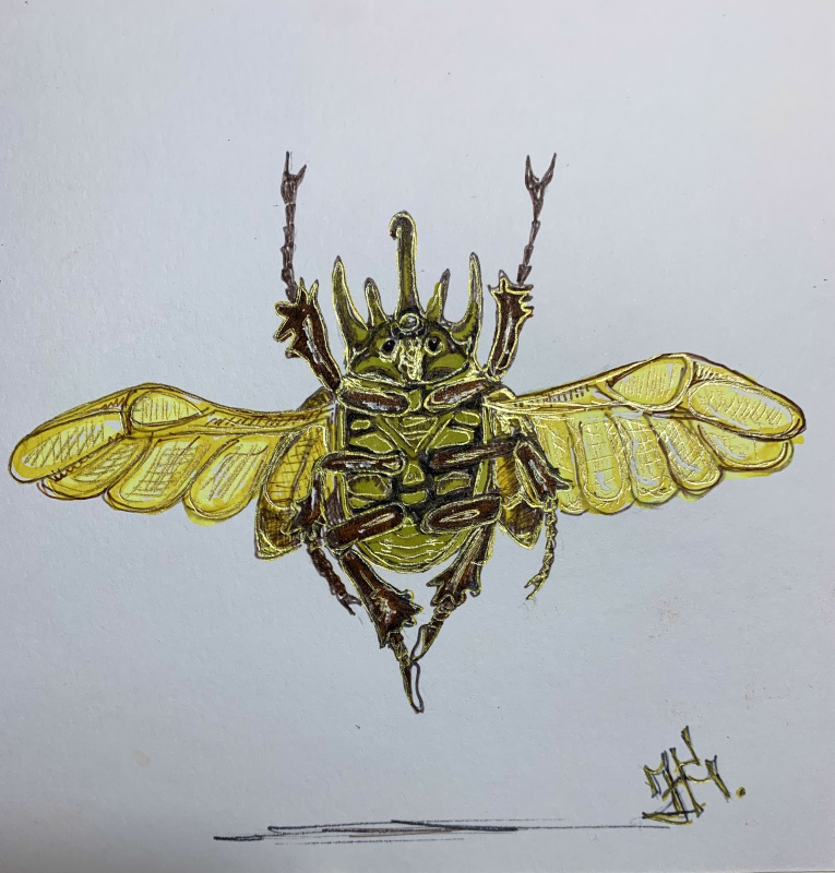 Bugs topia