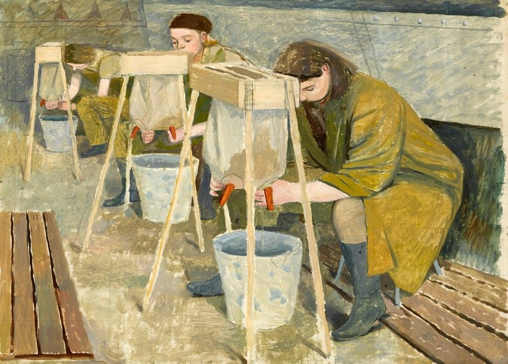 Evelyn Dunbar. Milking practice with artificial udders